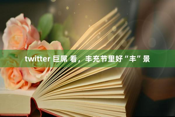 twitter 巨屌 看，丰充节里好“丰”景