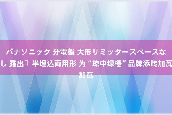 パナソニック 分電盤 大形リミッタースペースなし 露出・半埋込両用形 为“琼中绿橙”品牌添砖加瓦