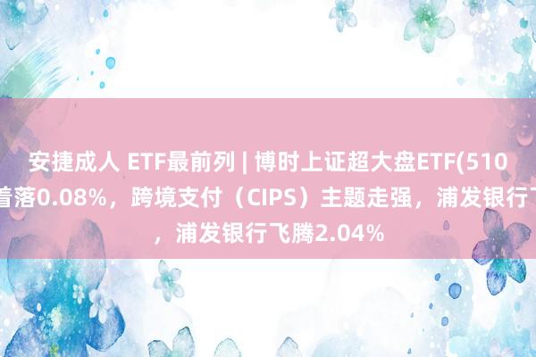 安捷成人 ETF最前列 | 博时上证超大盘ETF(510020)早盘着落0.08%，跨境支付（CIPS）主题走强，浦发银行飞腾2.04%