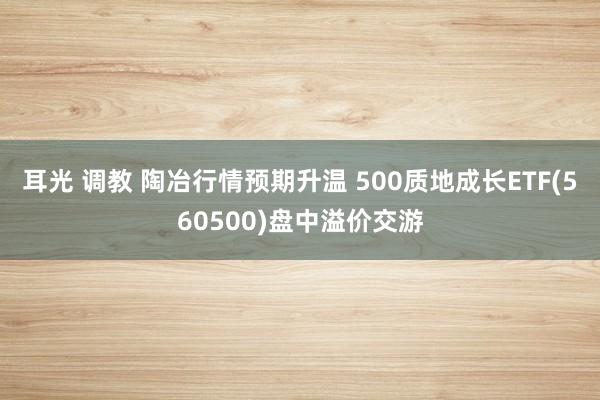 耳光 调教 陶冶行情预期升温 500质地成长ETF(560500)盘中溢价交游