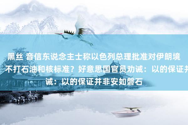 黑丝 音信东说念主士称以色列总理批准对伊朗境内打击主张！不打石油和核标准？好意思国官员劝诫：以的保证并非安如磐石