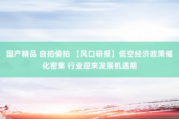 国产精品 自拍偷拍 【风口研报】低空经济政策催化密集 行业迎来发展机遇期