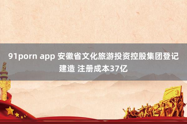 91porn app 安徽省文化旅游投资控股集团登记建造 注册成本37亿